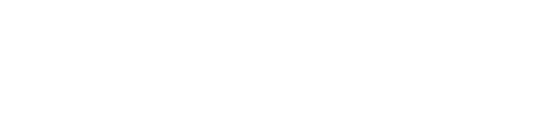 Flex Vybe logo