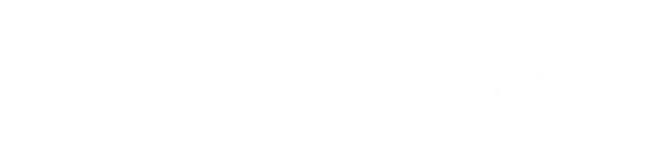 Flex Vybe